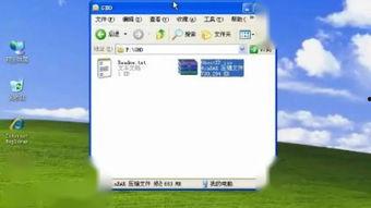 xp在线视频观看,xp在线视频观看盛宴