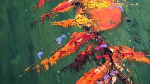 油画小白在线视频播放,跟随小白视频轻松掌握油画技巧