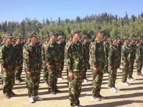 军姿动作要领在线视频,标准姿势与训练技巧解析