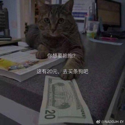 猫色狗色在线视频