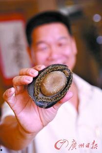 鲍鱼达人最新在线视频,最新视频教你轻松烹饪鲍鱼美食