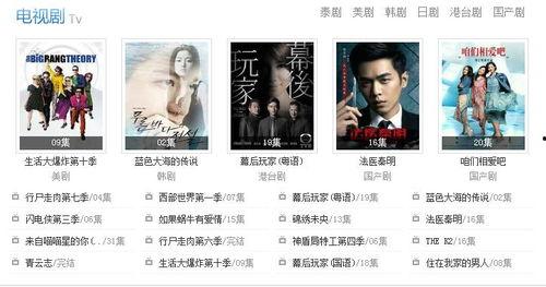 大狗狗伦理在线视频,揭秘动物权益保护与人类道德责任