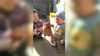 甘谷在线视频车费,出行新选择，费用全揭秘