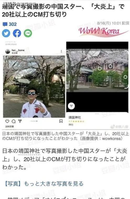 日本开发番号在线视频,探寻在线视频背后的创新与魅力